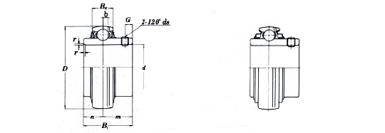 Pillow_block_bearing_UC2