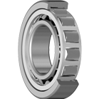 Radial Cylindrical Roller Bearings 619 GSX