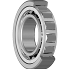 Radial Cylindrical Roller Bearings IM 4900